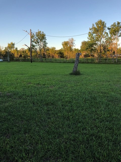 4518 County Road 659a, Brazoria, TX 77422 - photo 1