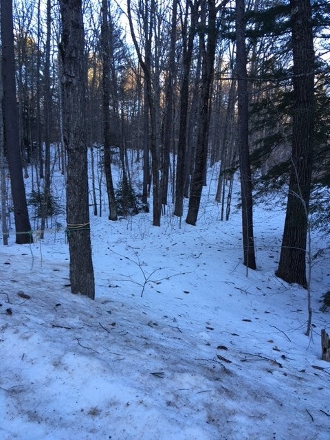 0 River Rd unit 4672950, Plymouth, NH 03264 - photo 1