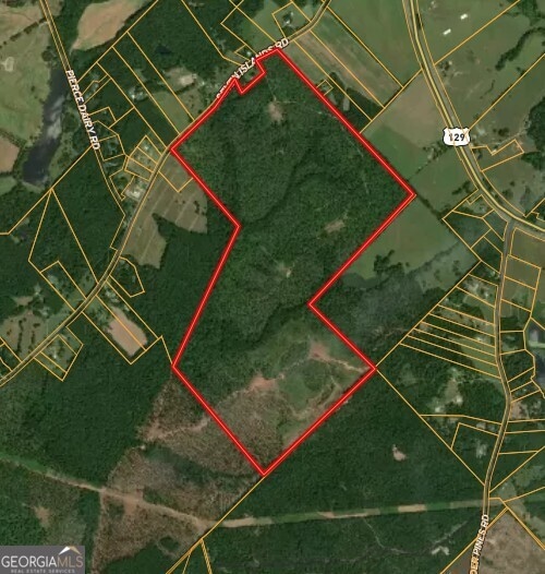 0 Seven Islands Rd unit 10593138, Madison, GA 30650 - photo 1