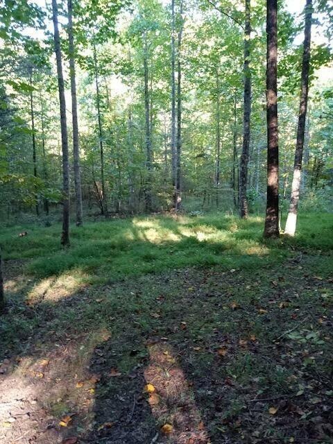 Vulcan Tract 3