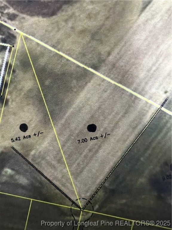 7.0 acres Buie - Philadelphus Rd, Red Springs, NC 28377 - photo 1