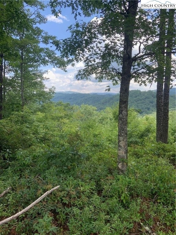 Lot 14 Lady's Mantle Ln, Ferguson, NC 28624 - photo 1