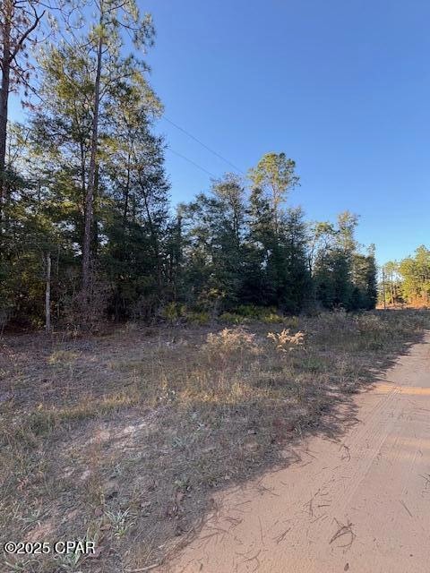 Lot #1 Arpana Cir, Alford, FL 32420 - photo 1