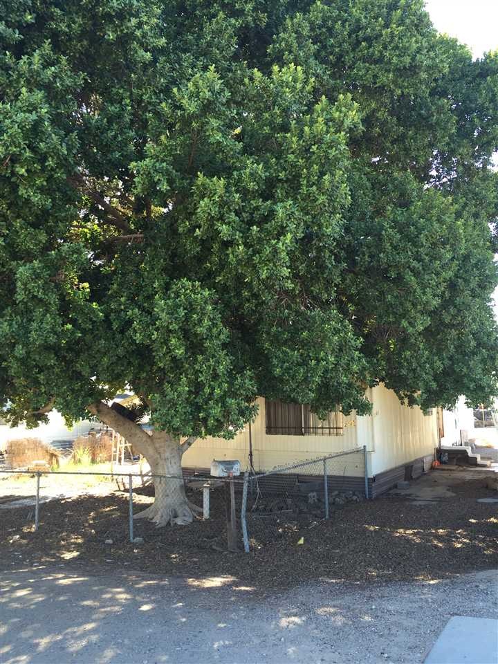 2545 W 5th St, Yuma, AZ 85364 - photo 1