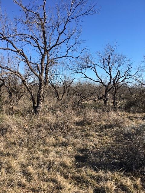 0 Twin Lakes Ln unit 11 103705, San Angelo, TX 76904 - photo 1