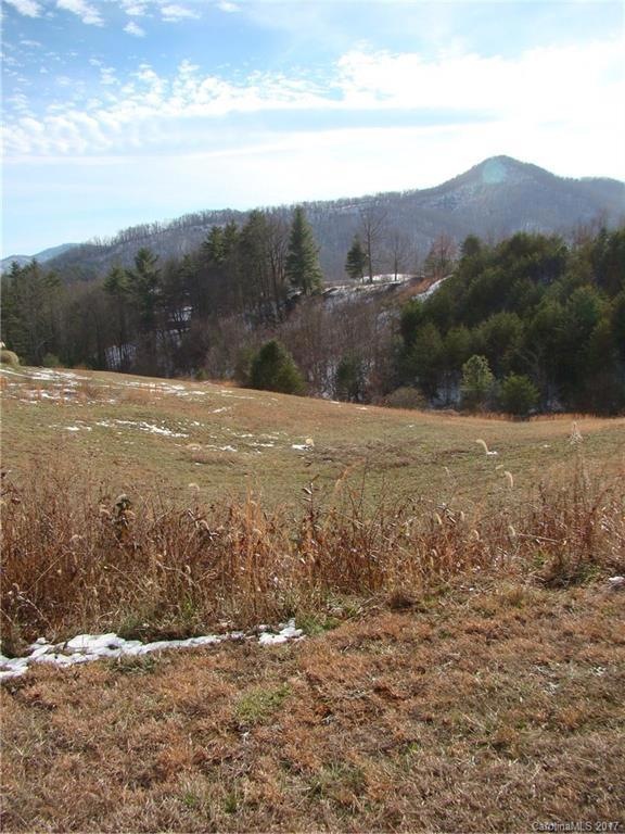 134 Big Sky Dr unit 54, Leicester, NC 28748 - photo 1