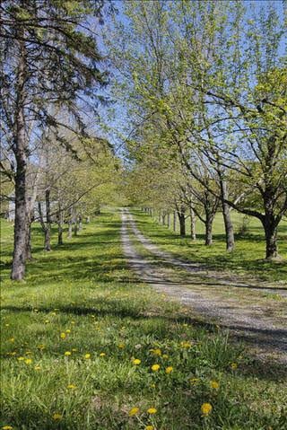 4535 New York 9g, Germantown, NY 12526 - photo 1