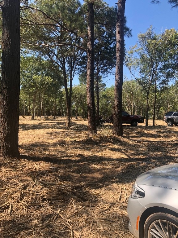 5420 County Road 166 County Road 492, Alvin, TX 77511 - photo 1