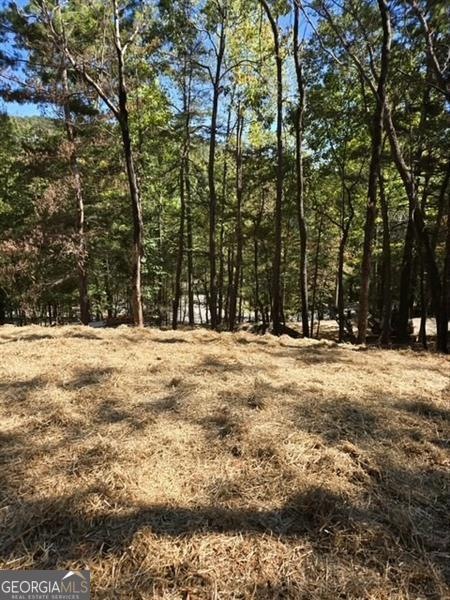 View of local wilderness