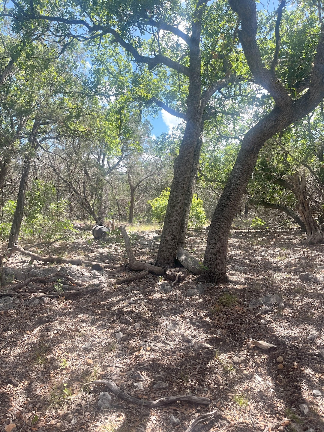 854 Pole Crave Creek Rd, Leakey, TX 78873 - photo 1