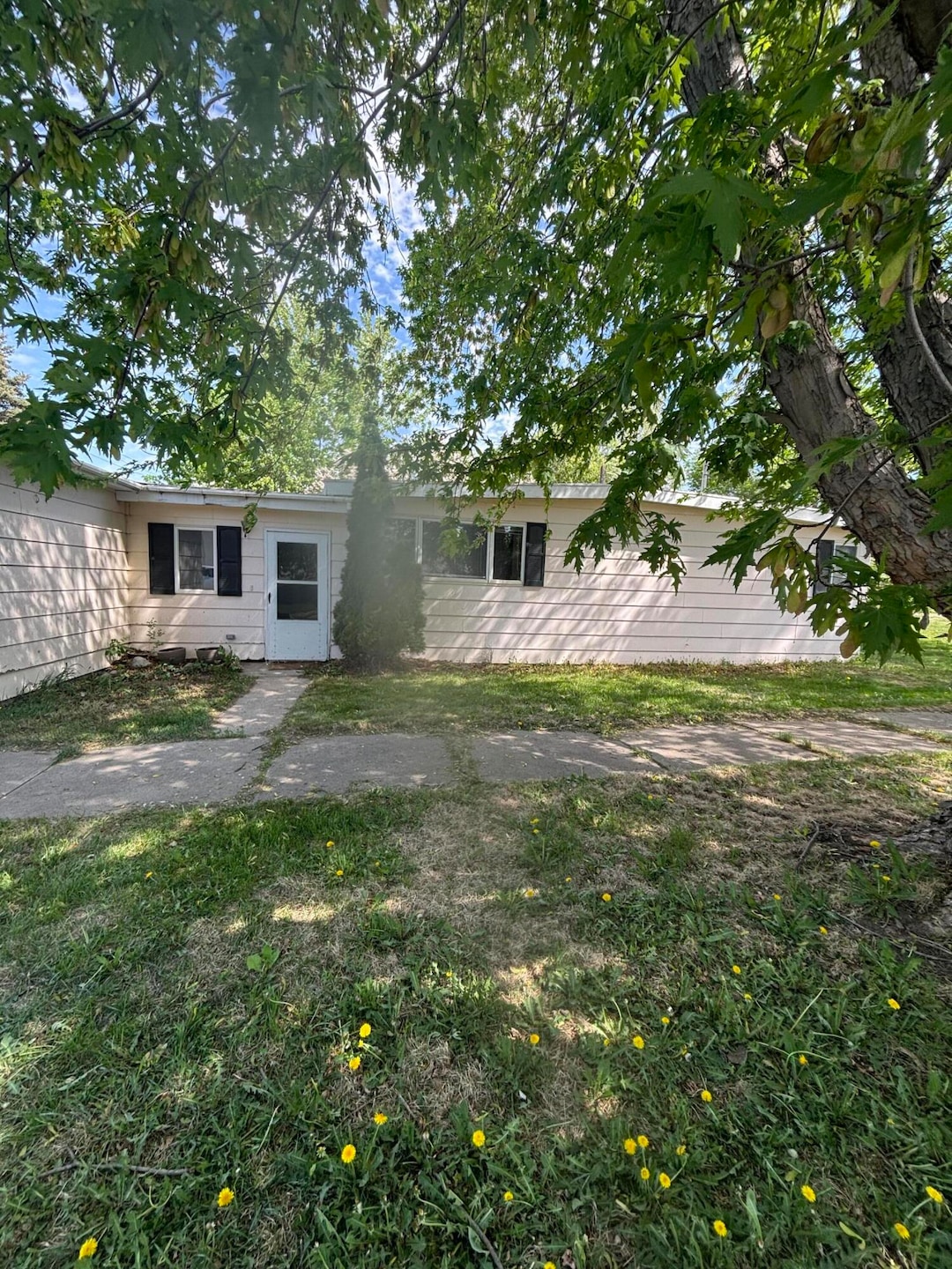 Front House 1