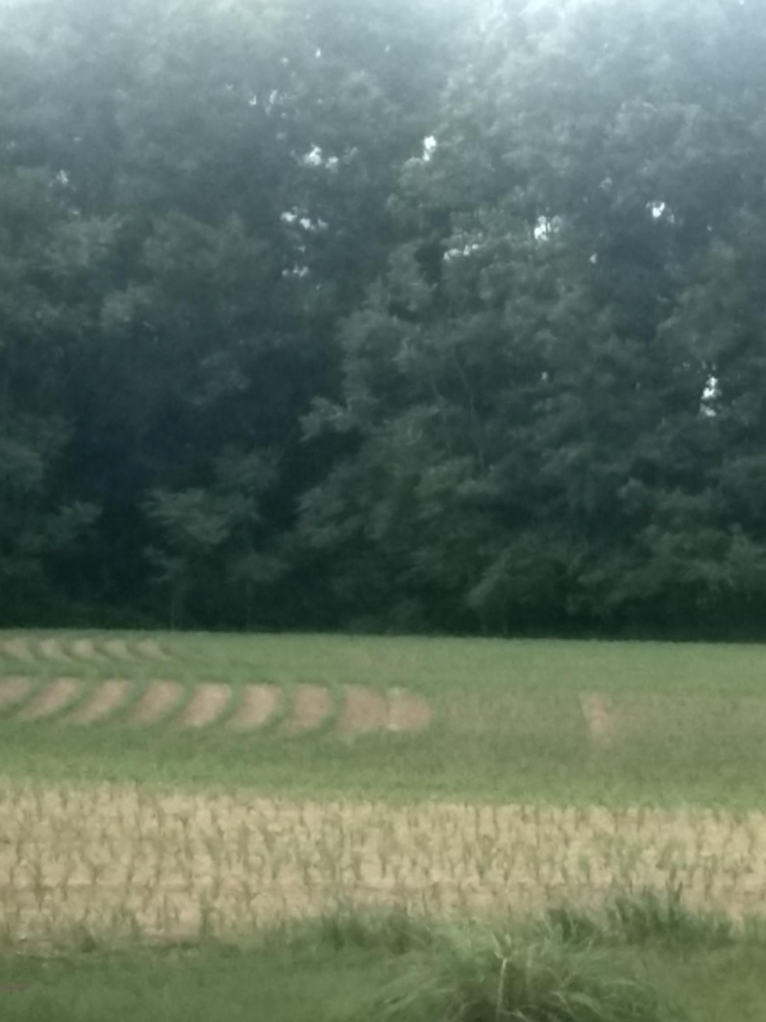 0 Hill Lake Ave unit 18020102, Wayland Township, MI 49348 - photo 1