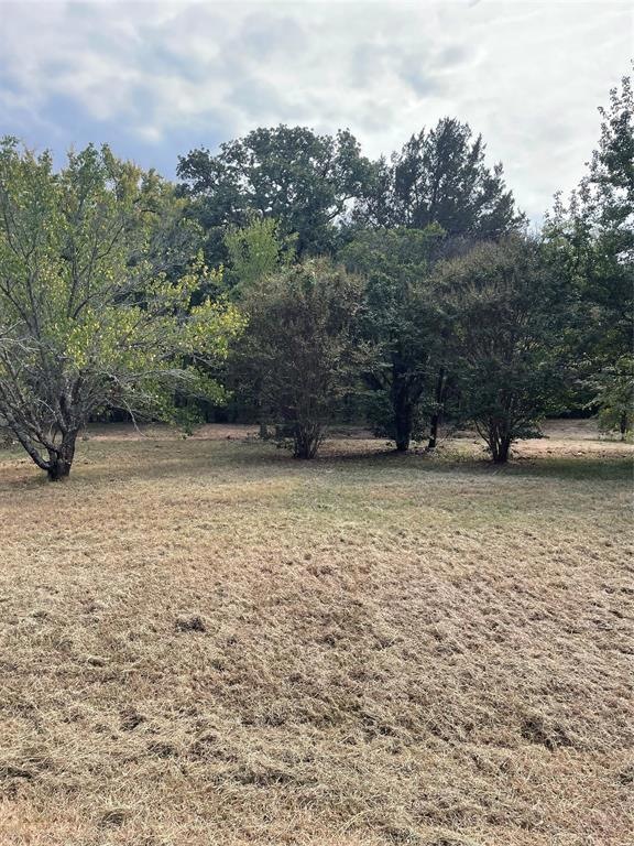 336 Mano Ln, Sadler, TX 76264 - photo 1