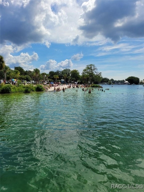 41 Beach Ln unit 2D, Crystal River, FL 34429 - photo 1