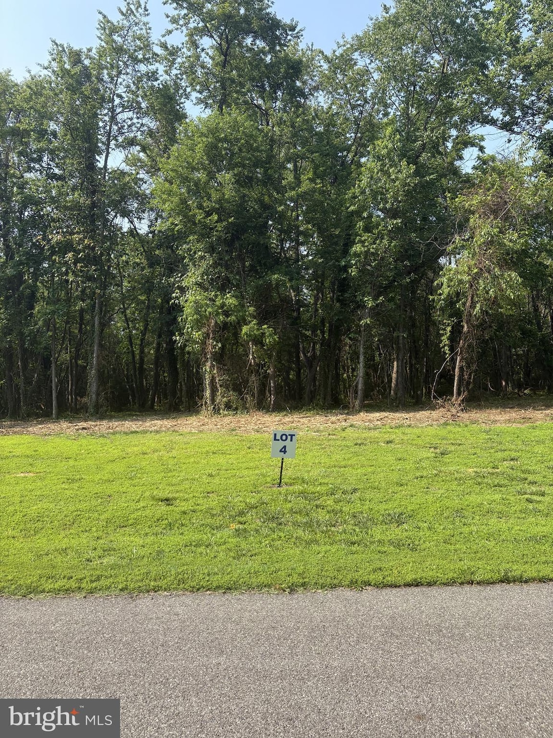 4 Wilson Point Rd, Galena, MD 21635 - photo 1