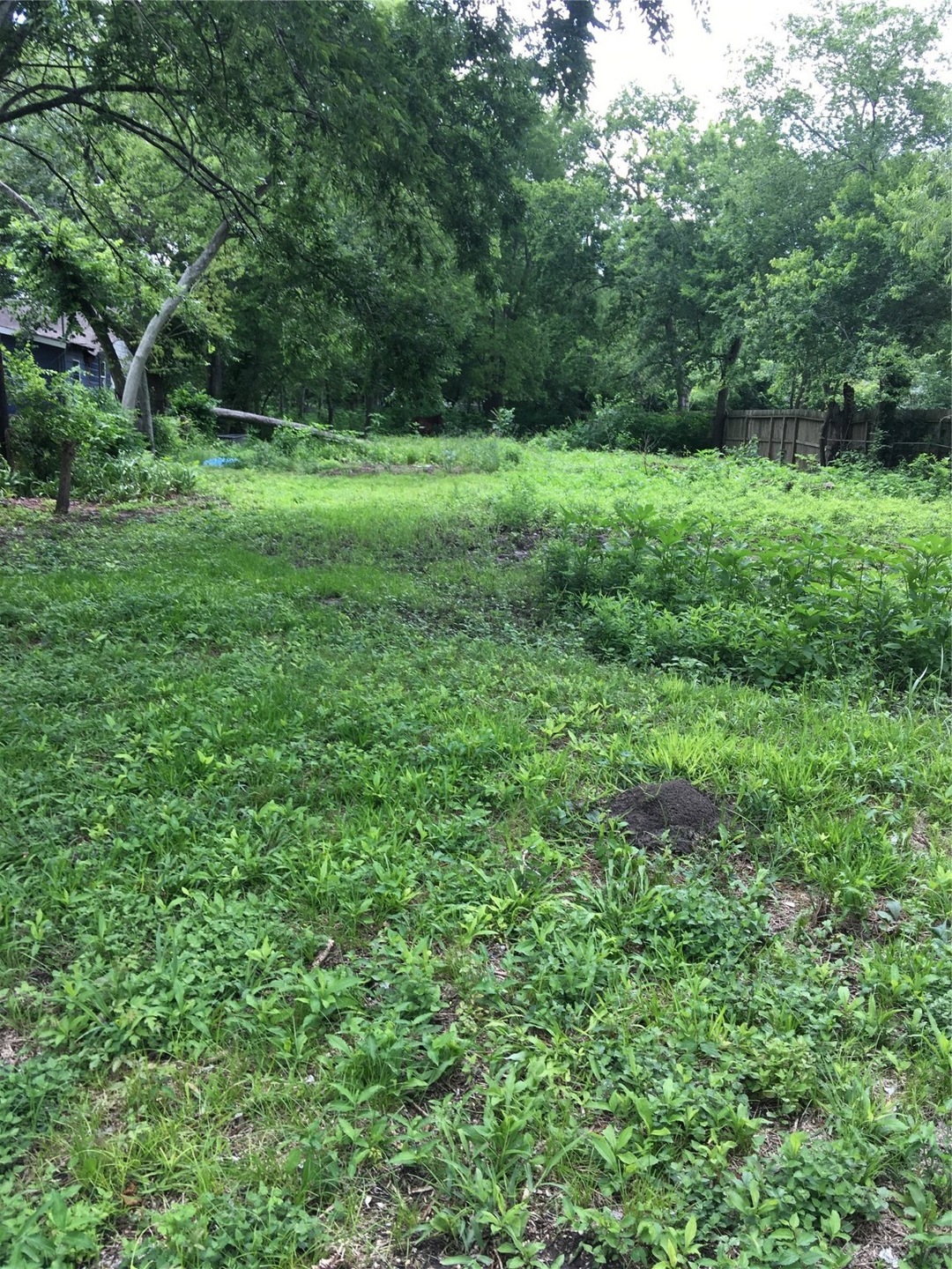 7312 Lavender St, Houston, TX 77016 - photo 1