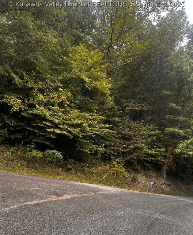 0-1 Dalton Branch Little Harts Creek Rd, Harts, WV 25524 - photo 1