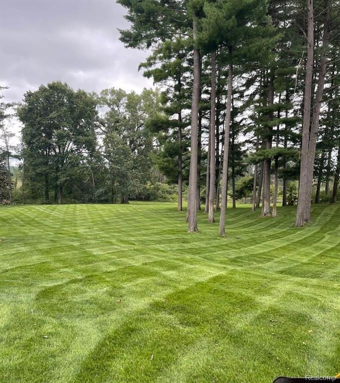 Imagine your dream home right here!