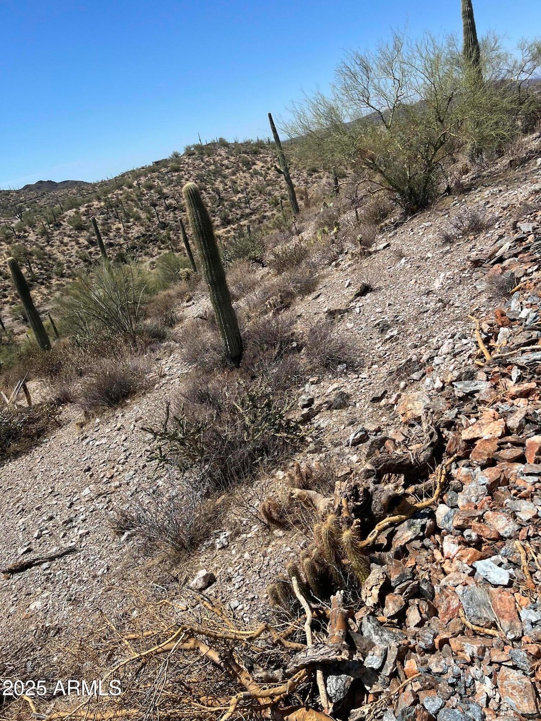 11XX N Hardt Tank S Lot 3 Rd, Queen Valley, AZ 85118 - photo 1