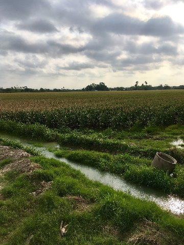 0 Billman Rd, Donna, TX 78537 - photo 1