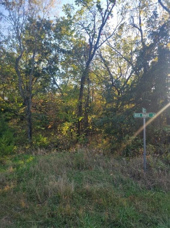 149 Rose Marie Dr, Linn Valley, KS 66040 - photo 1