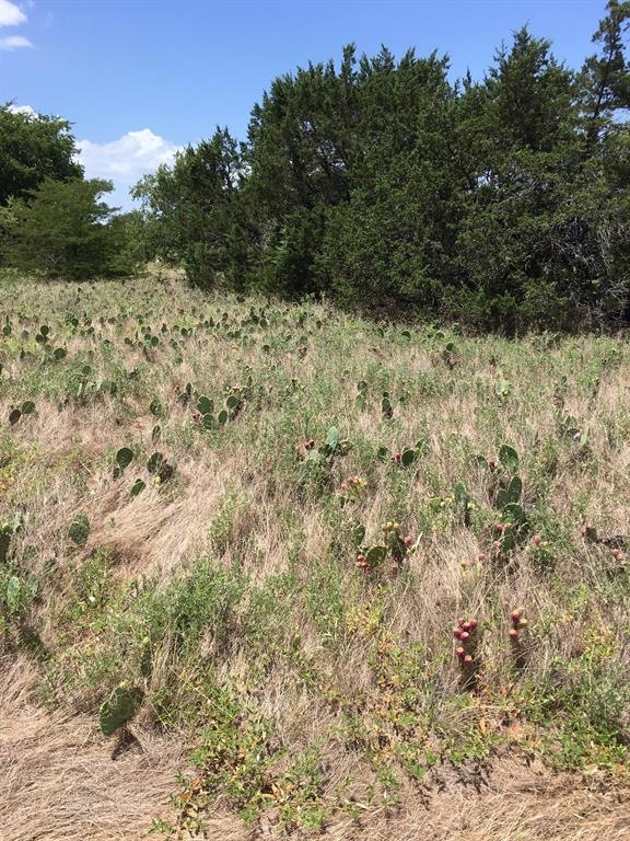 16001 Faircrest Dr, Whitney, TX 76692 - photo 1