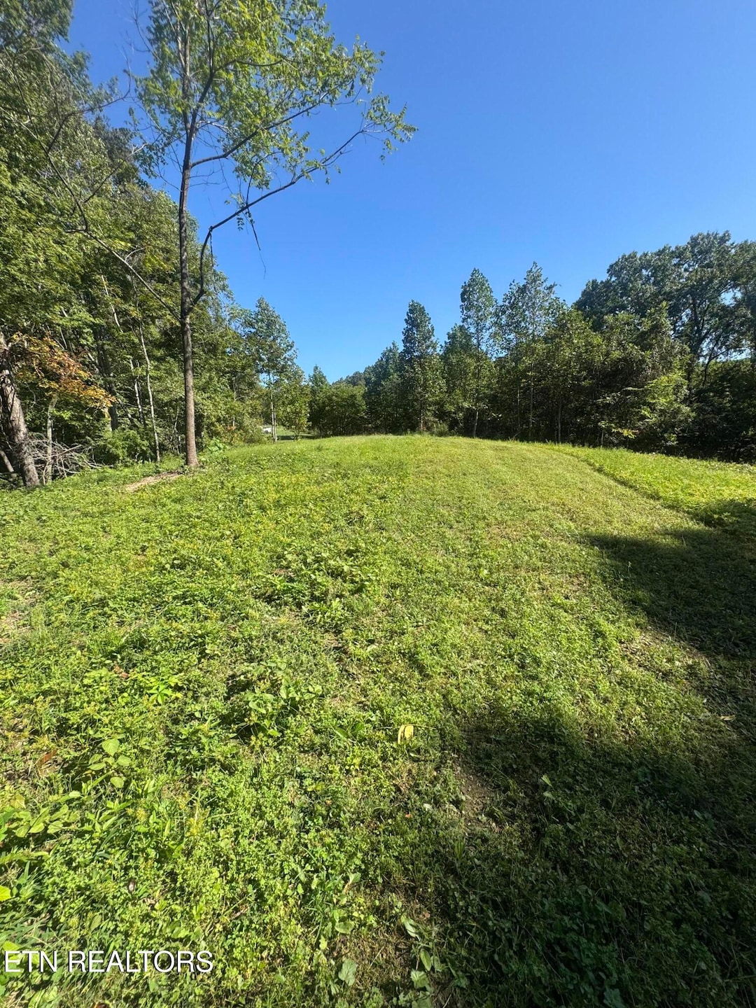 7DEB549D-4E31-4BC0-B584-4424B1B733C6