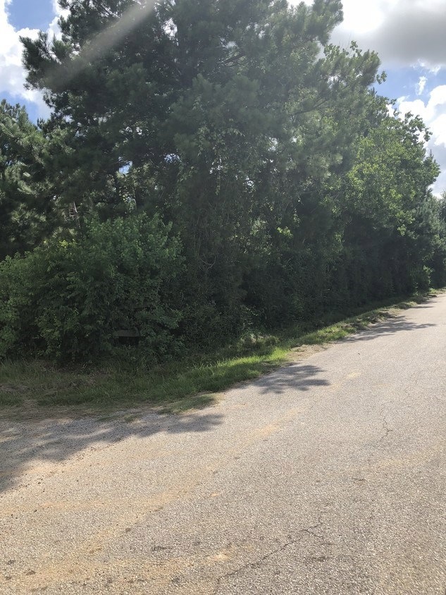 0 Dement, Tomball, TX 77375 - photo 1