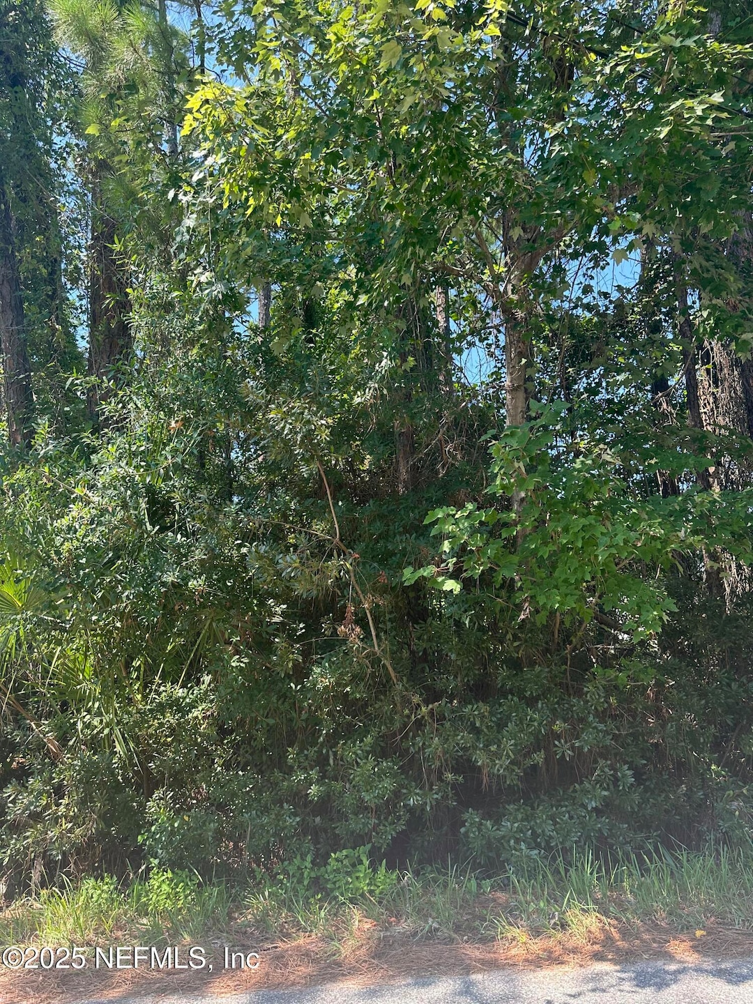 For Sale $64,900 • Co-Listing Agent