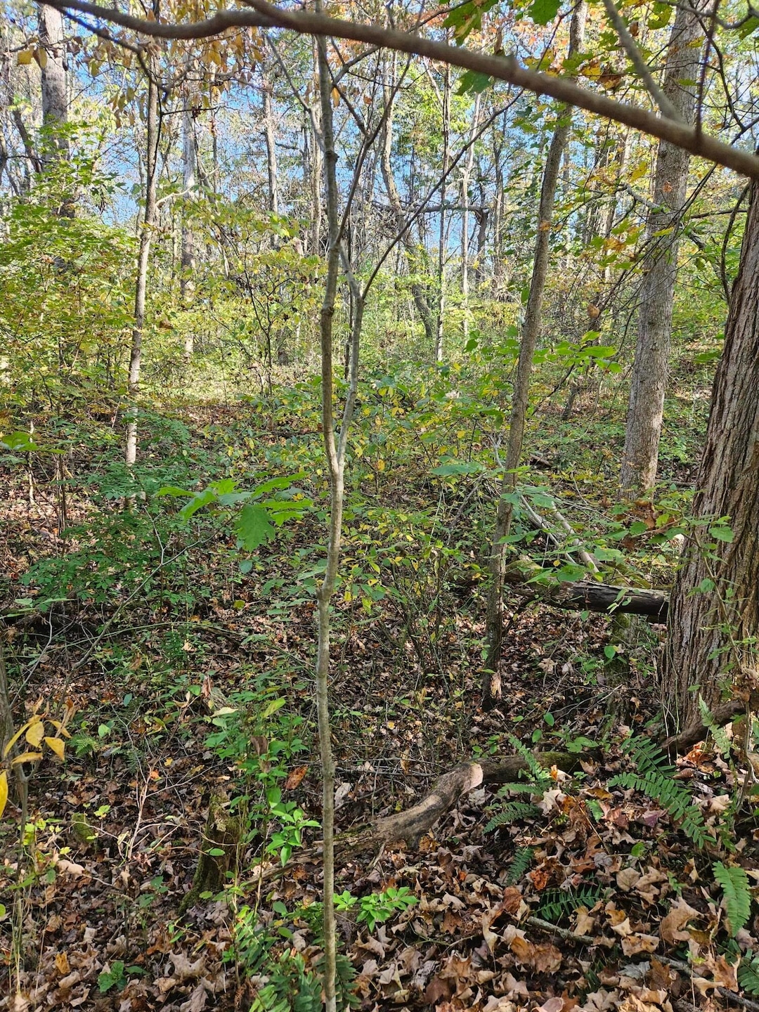 0 Heddleson Ridge