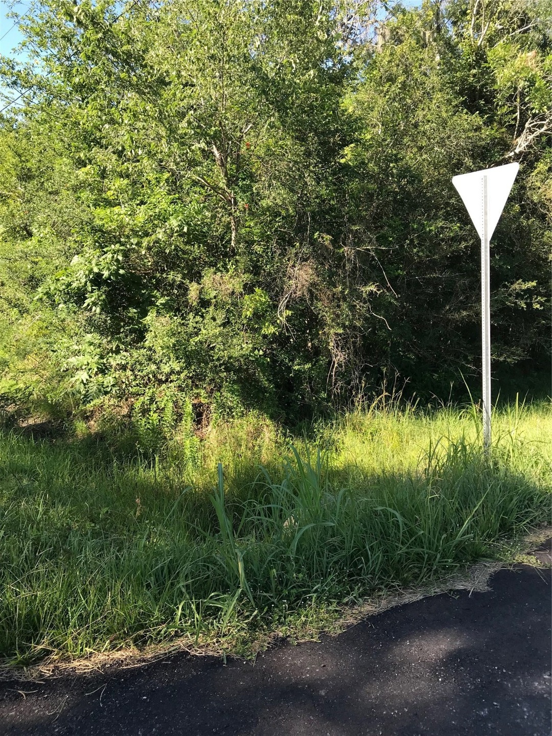 0 Heather Dr unit 96714103, Brazoria, TX 77422 - photo 1