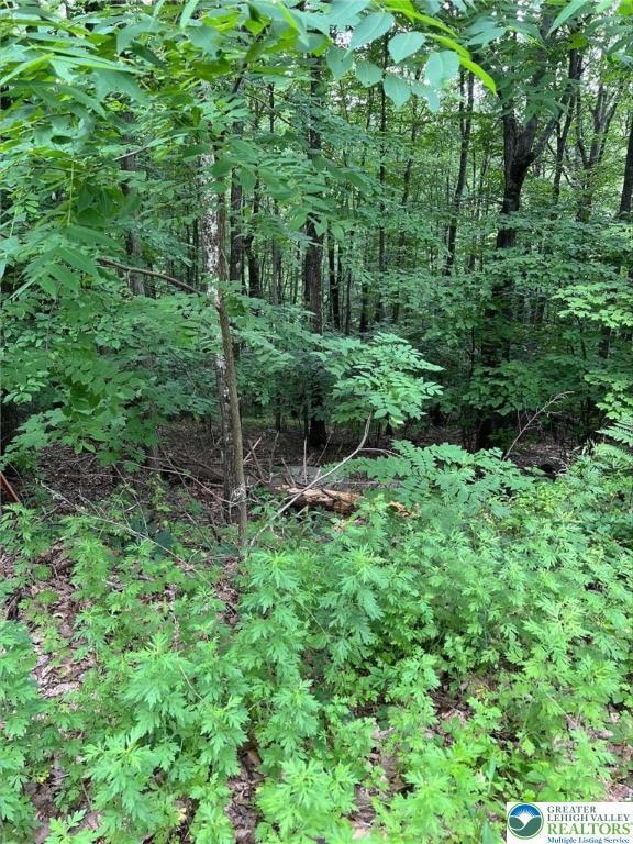 0 Faber Cir unit 40,41,42,43 759242, Tannersville, PA 18372 - photo 1