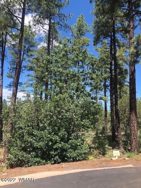 Sold $84,900 • Co-Listing Agent