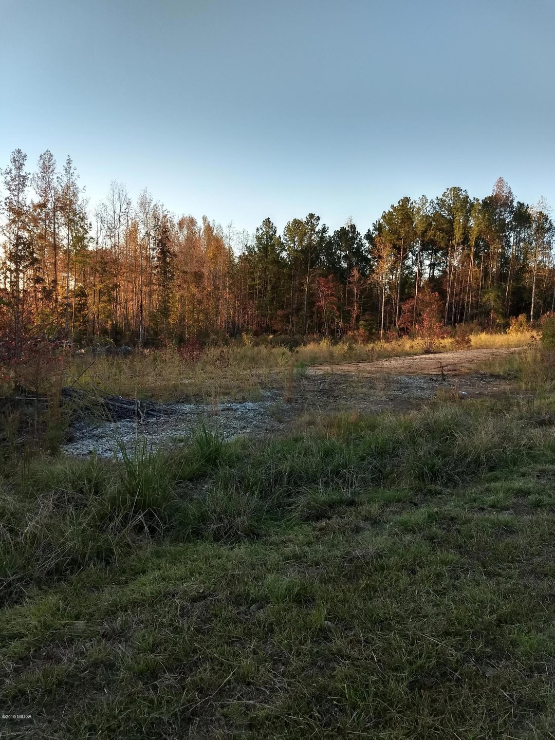 IMG_20191110_171348675_HDR