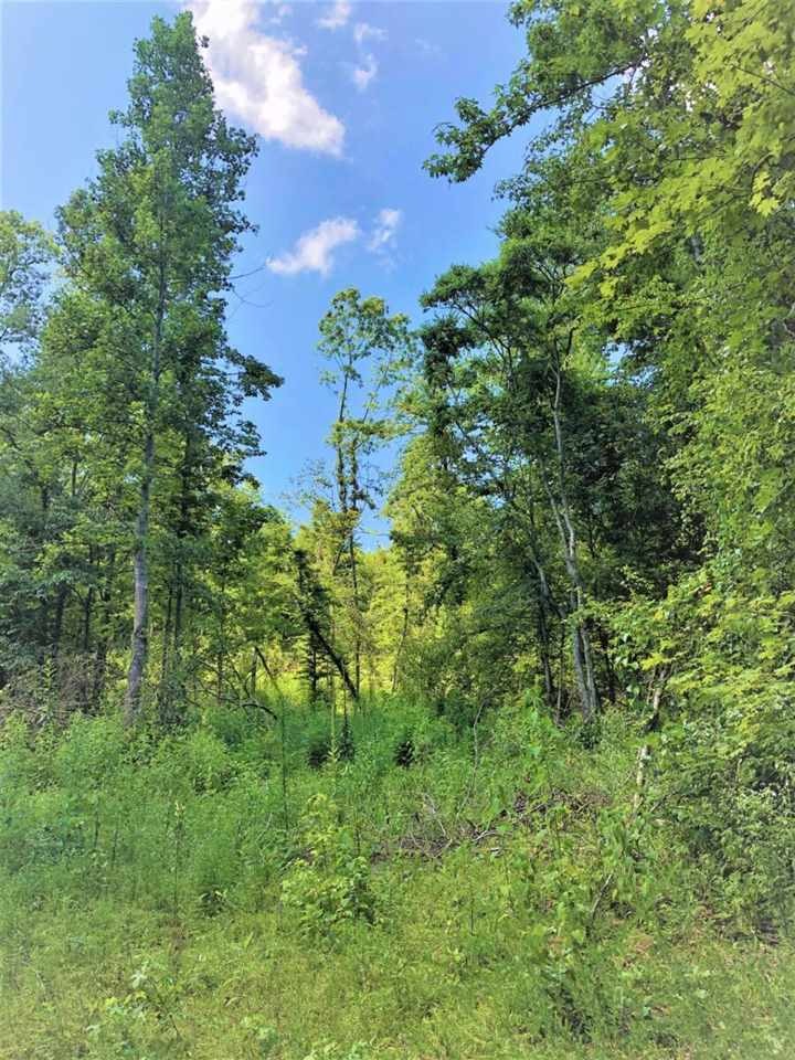 00 Mt Olive On Hwy 13 S, Linden, TN 37096 - photo 1