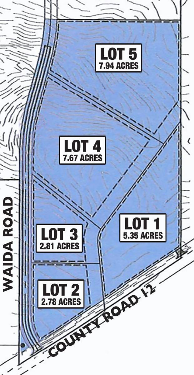 TBD Lot 2 Waida Rd, Wilson Township, MN 55987 - photo 1