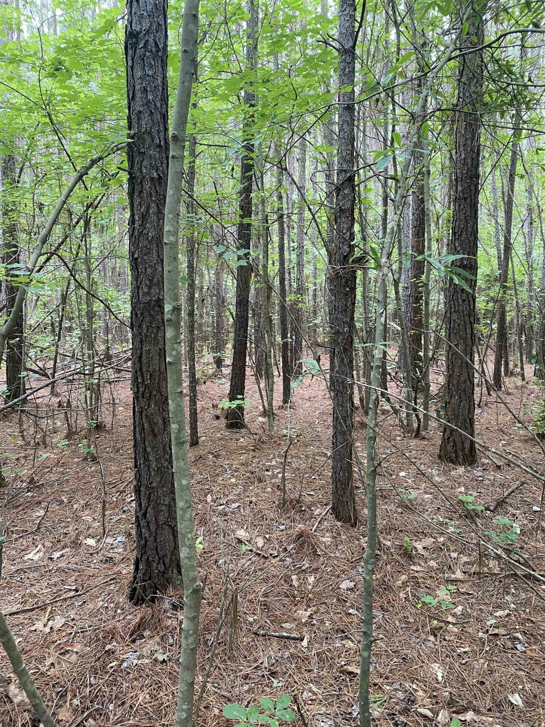 0 Sterl Carrington Rd, Oxford, NC 27565 - photo 1