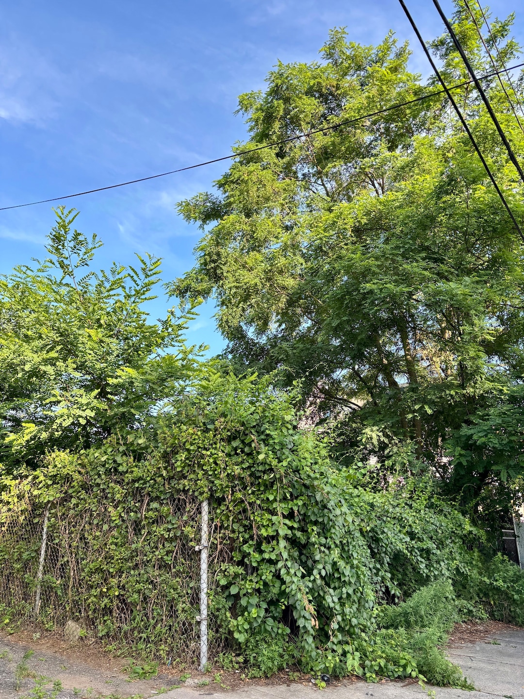 90 Lee Ave, Bridgeport, CT 06605 - photo 1