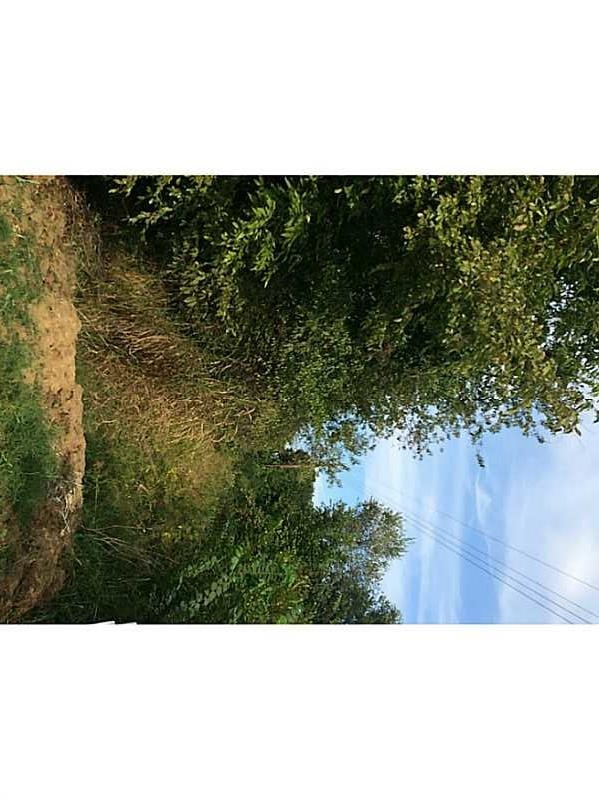 415 Boston St, Prairie Grove, AR 72753 - photo 1