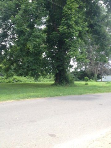 000 Rodney Rd, Port Gibson, GA 30150 - photo 1