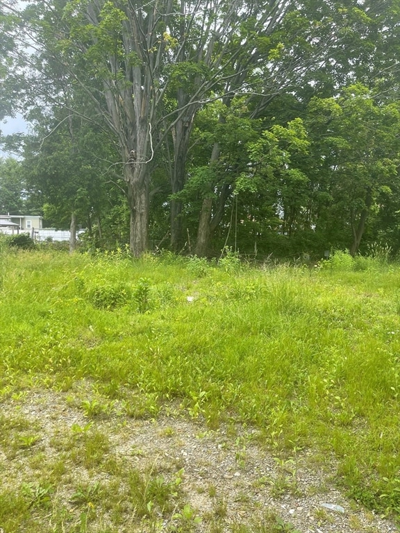 4 Tamarack St, Lowell, MA 01851 - photo 1