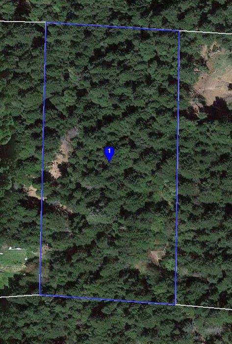 840 Spring Rd, Alderpoint, CA 95511 - photo 1