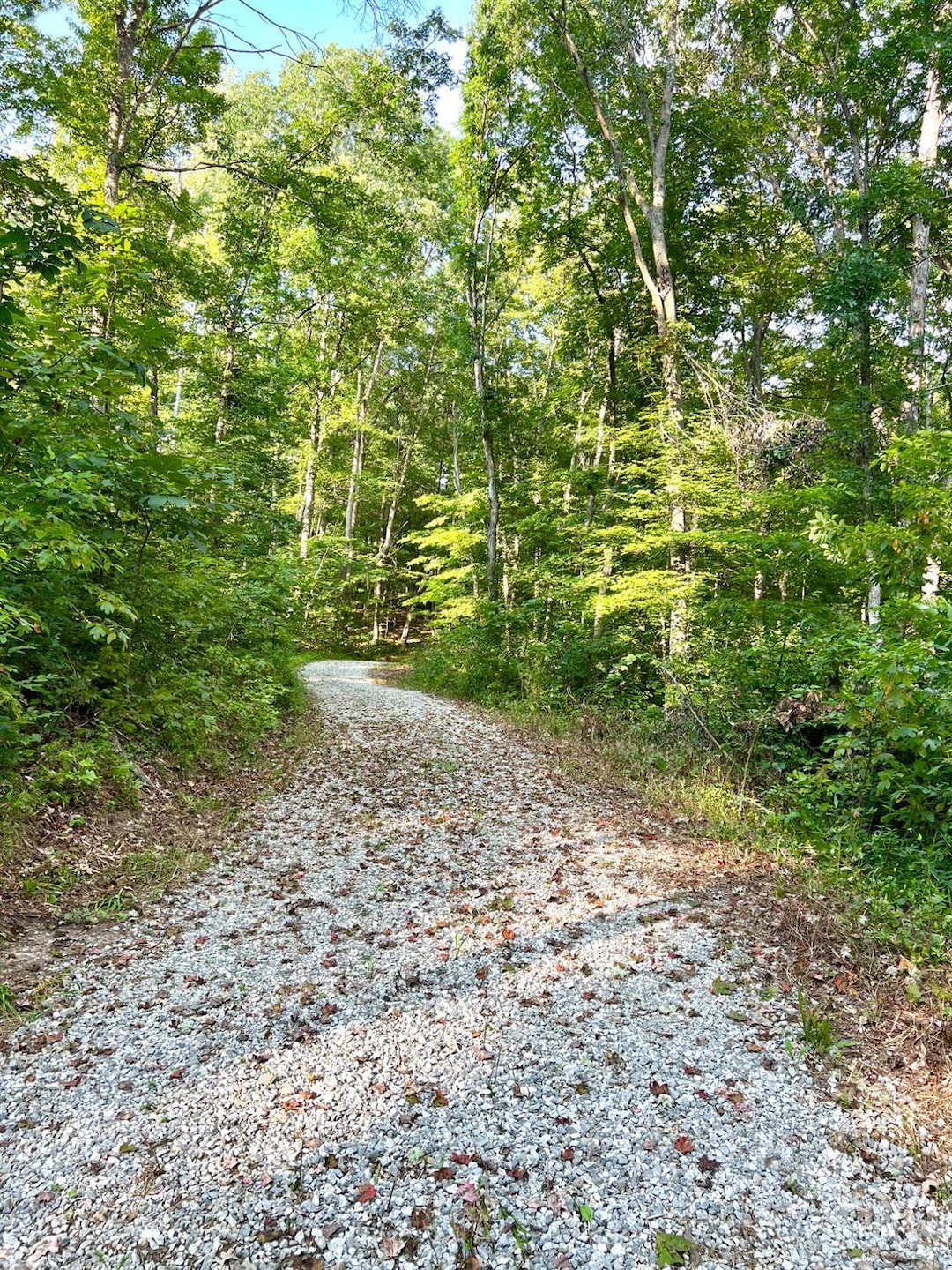 0 Tabernacle Rd, Massieville, OH 45601 - photo 1