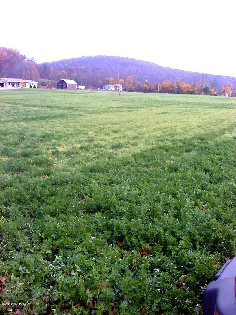land