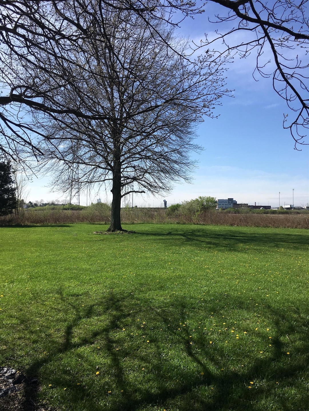 7689 Bethany Rd, Liberty Township, OH 45044 - photo 1