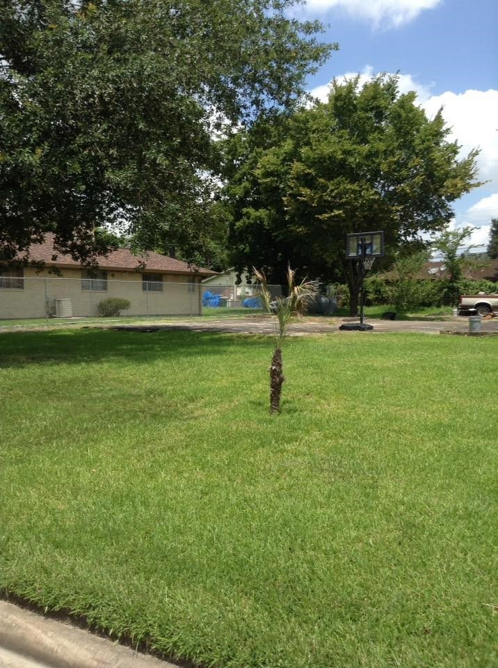 7617 Tully St, Houston, TX 77016 - photo 1