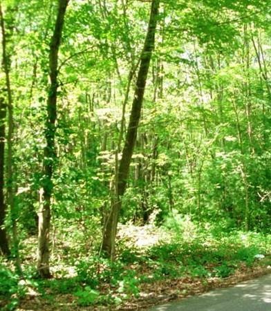 0 Bent St unit 71840671, Franklin, MA 02038 - photo 1