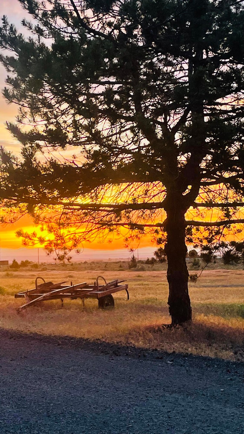 0 NE Cherry Ln unit 220184894, Madras, OR 97741 - photo 1