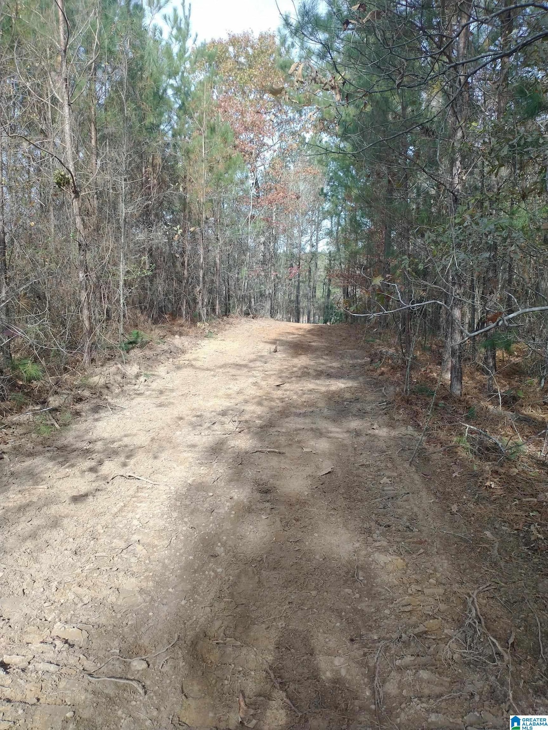 334 Serenity Ln, Alpine, AL 35160 - photo 1