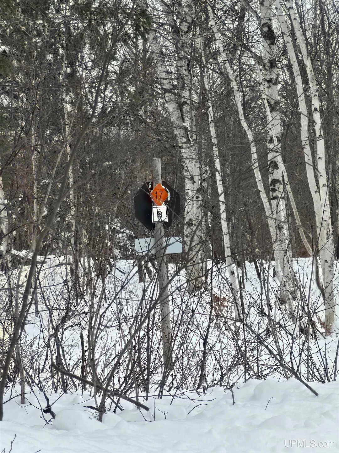 TBD Electric Park Rd, Calumet, MI 49913 - photo 1